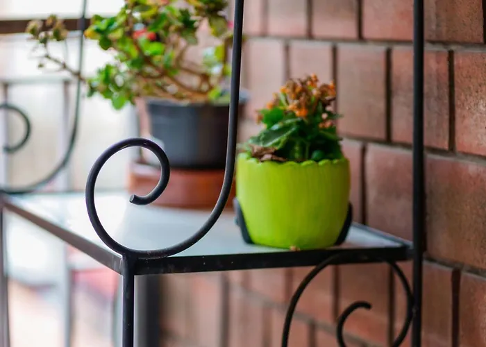 Dolce Alojamento de Acomodação e Pequeno-almoço